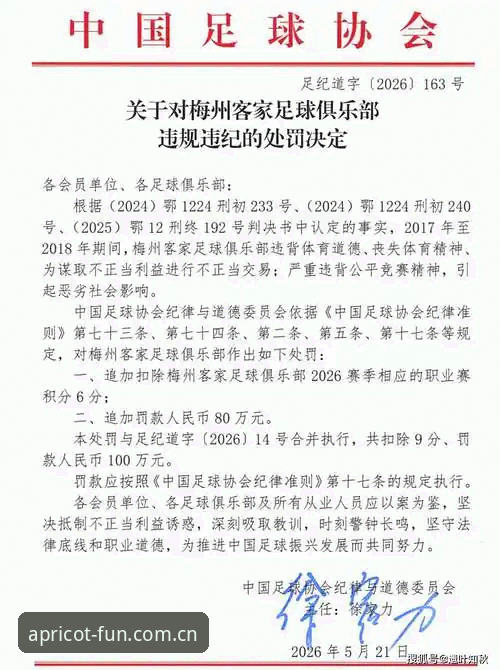 杏运娱乐官网地址怎么下载 中国足协公布第三批禁足名单:65人受罚背后的3大行业警示信号